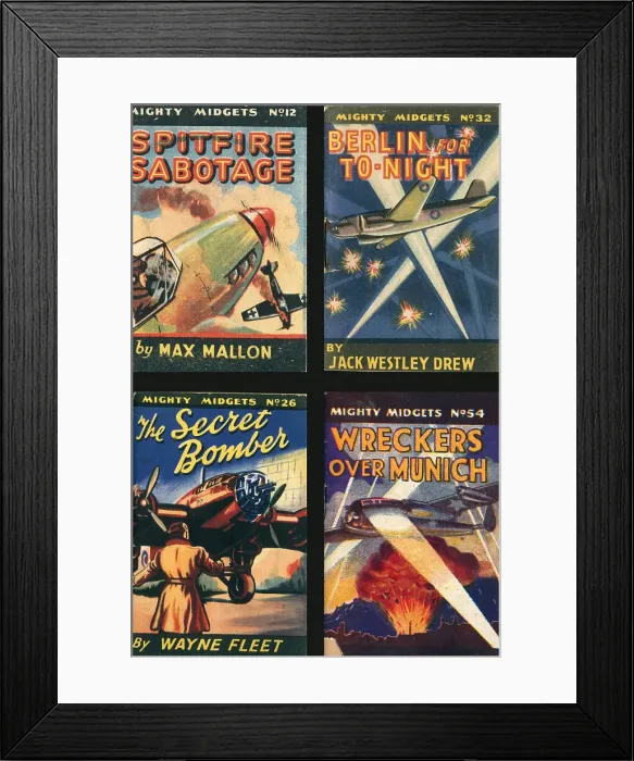 Framed Print : 13810141 Framed Print : 13810141