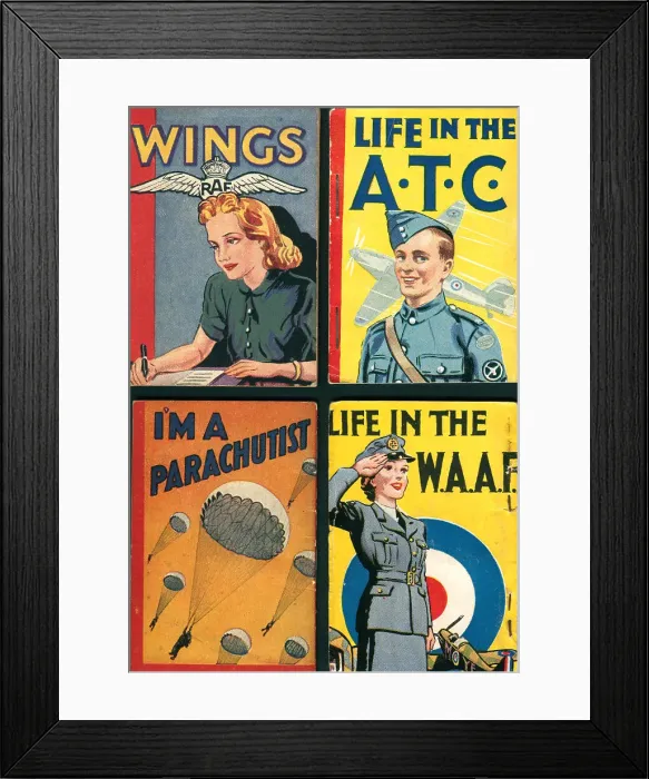 Framed Print : 13810143 Framed Print : 13810143