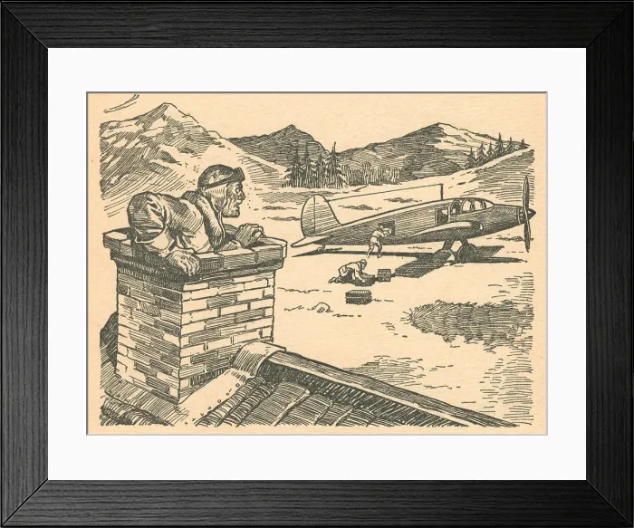 Framed Print : 13810203 Framed Print : 13810203