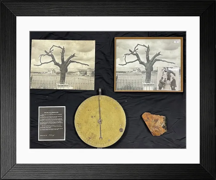 Framed Print : Tree and spring balance brass dial, Samuel Cody Archive Framed Print : Tree and spring balance brass dial, Samuel Cody Archive