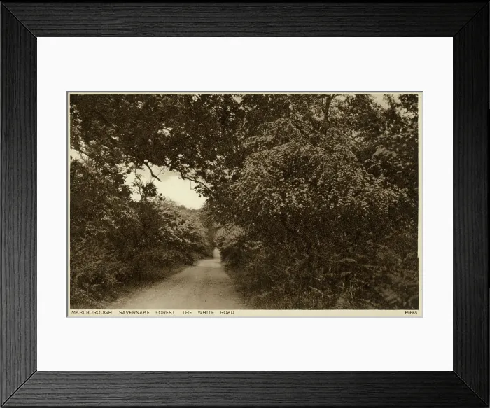 Framed Print : Marlborough, Wiltshire - Savernake Forest, The White Road Framed Print : Marlborough, Wiltshire - Savernake Forest, The White Road
