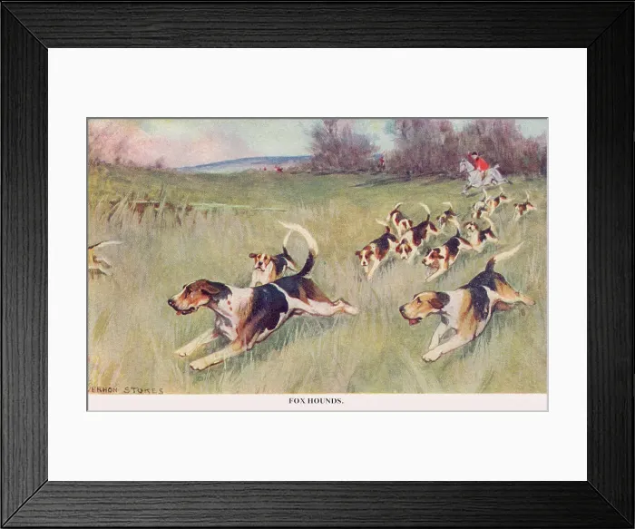 Framed Print : Fox Hounds Framed Print : Fox Hounds