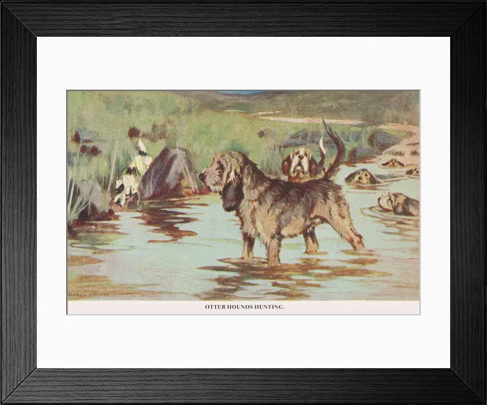 Framed Print : Otter Hounds Framed Print : Otter Hounds