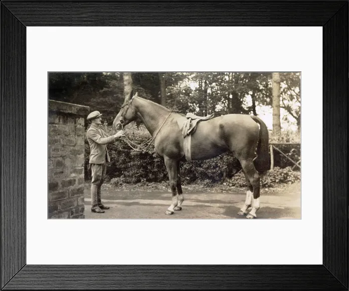 Framed Print : Lady Lindsay's Blue Prince, Kilconquhar, Fife, Scotland, October 1935 Date: 1935 Framed Print : Lady Lindsay's Blue Prince, Kilconquhar, Fife, Scotland, October 1935 Date: 1935