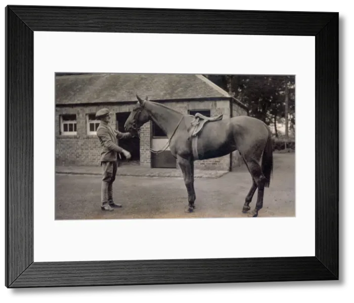 Framed Print : Lady Lindsay's Watford Belle, Kilconquhar, Fife, Scotland, October 1935 Date: 1935 Framed Print : Lady Lindsay's Watford Belle, Kilconquhar, Fife, Scotland, October 1935 Date: 1935
