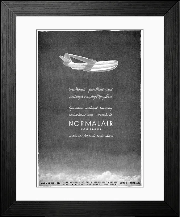 Framed Print : 13818921 Framed Print : 13818921