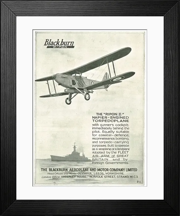 Framed Print : 13822923