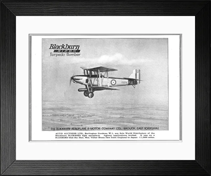 Framed Print : 13822976 Framed Print : 13822976