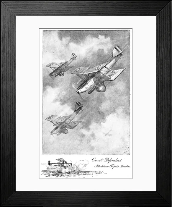 Framed Print : 13822994 Framed Print : 13822994