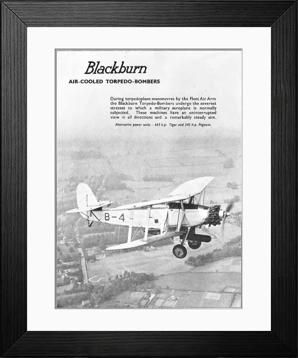 Framed Print : 13822995 Framed Print : 13822995