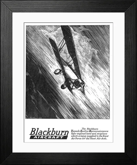 Framed Print : 13823000 Framed Print : 13823000