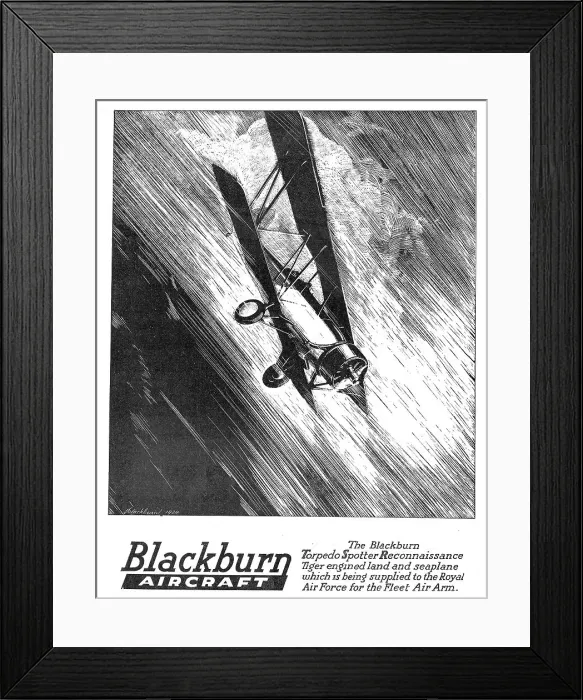 Framed Print : 13823005 Framed Print : 13823005