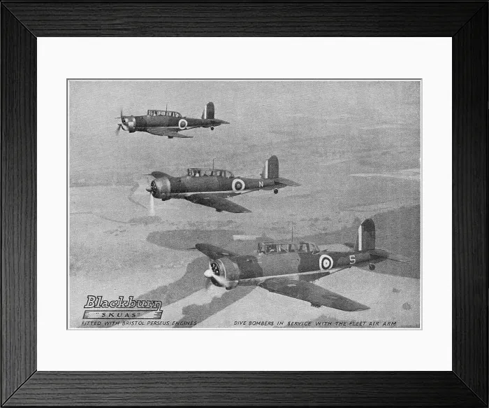 Framed Print : 13823046 Framed Print : 13823046