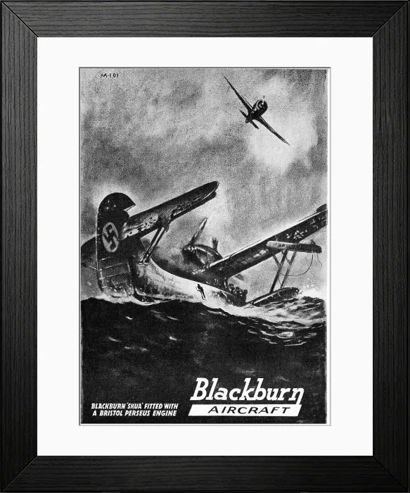 Framed Print : 13823049 Framed Print : 13823049