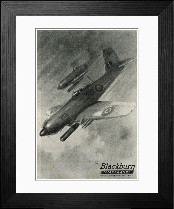 Framed Print : 13823123 Framed Print : 13823123