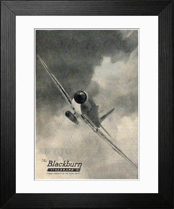 Framed Print : 13823120 Framed Print : 13823120
