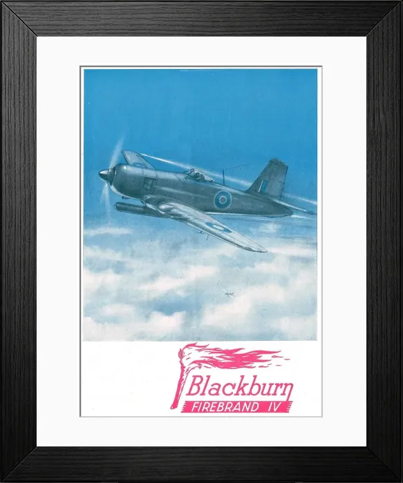 Framed Print : 13823125 Framed Print : 13823125