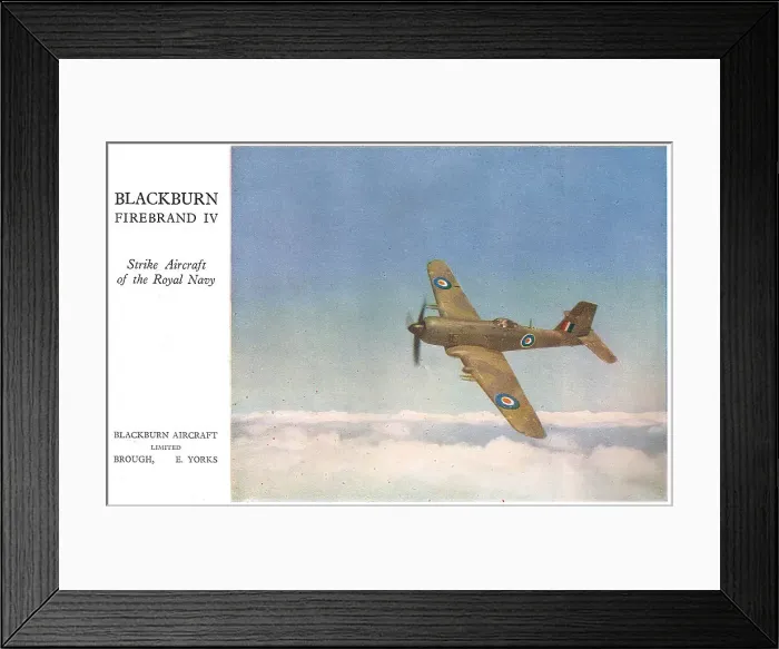 Framed Print : 13823126