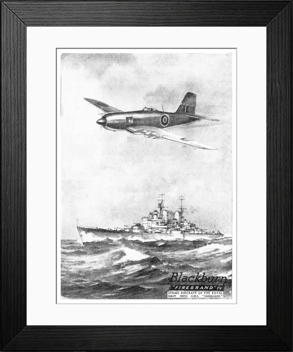 Framed Print : 13823132 Framed Print : 13823132