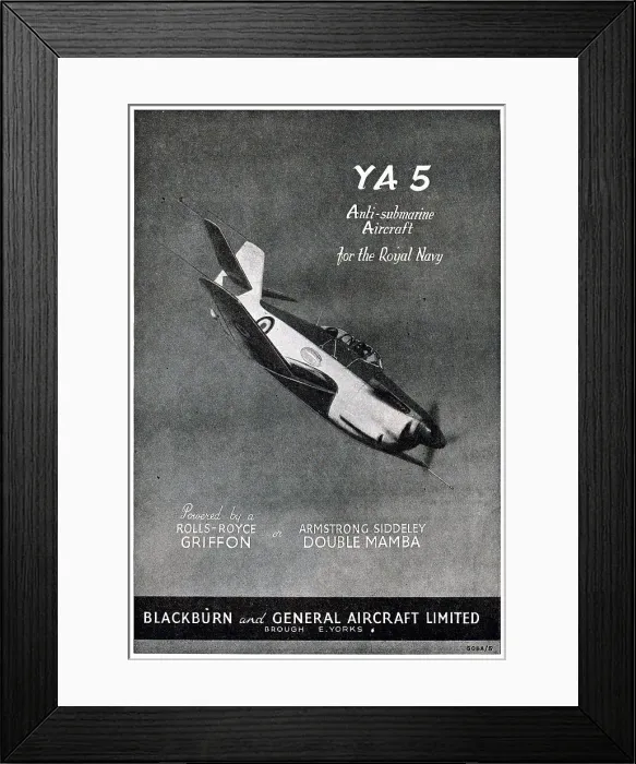 Framed Print : 13823155 Framed Print : 13823155