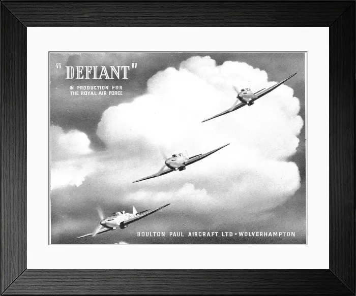 Framed Print : 13823665