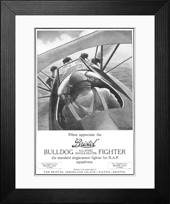 Framed Print : 13824375 Framed Print : 13824375