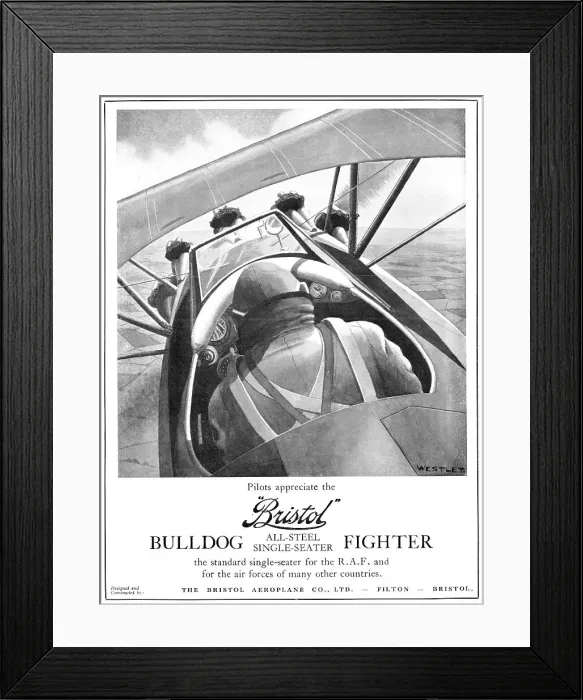 Framed Print : 13824395 Framed Print : 13824395