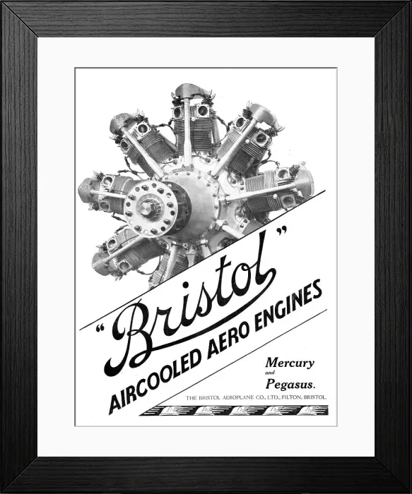 Framed Print : 13824400 Framed Print : 13824400