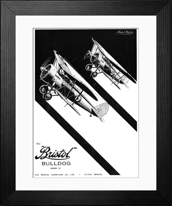 Framed Print : 13824452