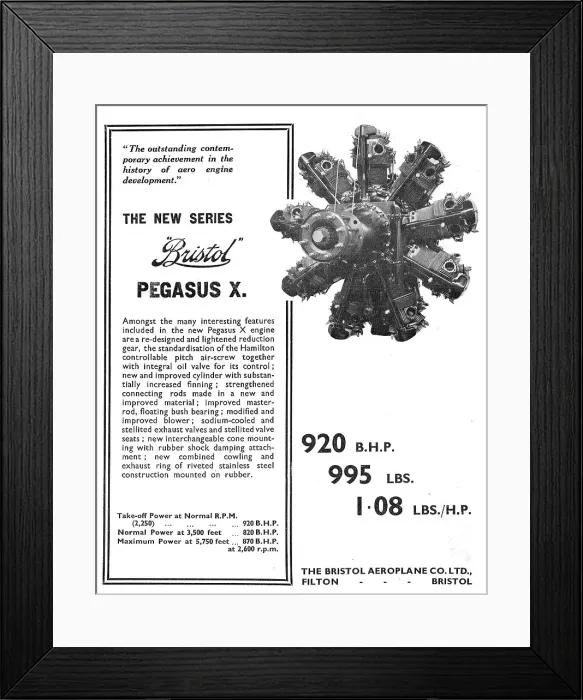 Framed Print : 13824461 Framed Print : 13824461