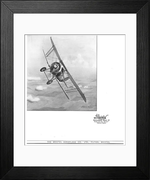 Framed Print : 13824454 Framed Print : 13824454