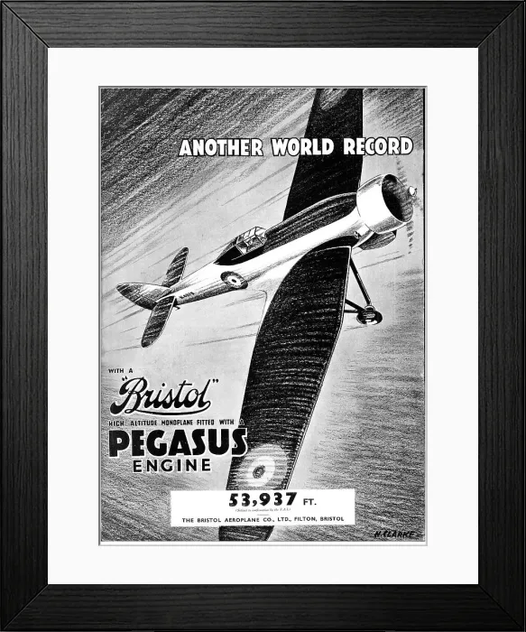 Framed Print : 13824595 Framed Print : 13824595