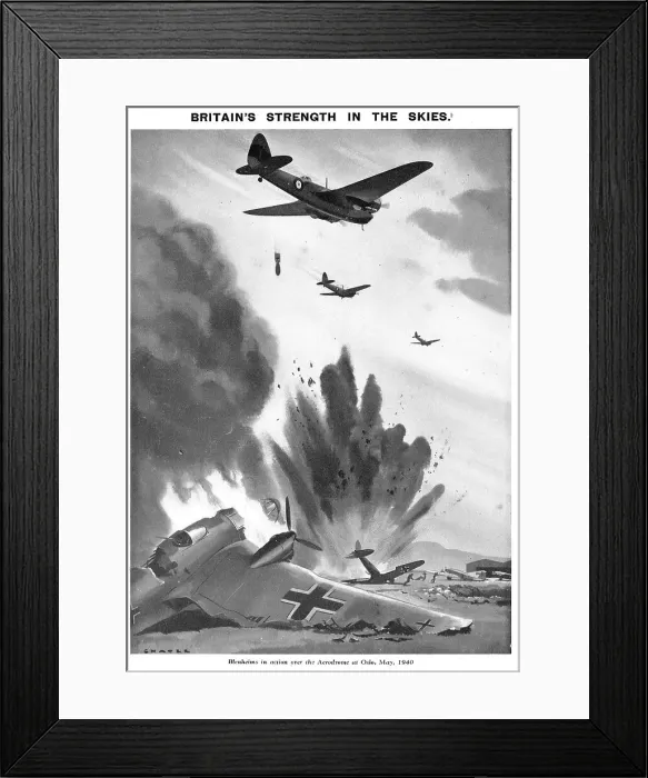 Framed Print : 13824739 Framed Print : 13824739