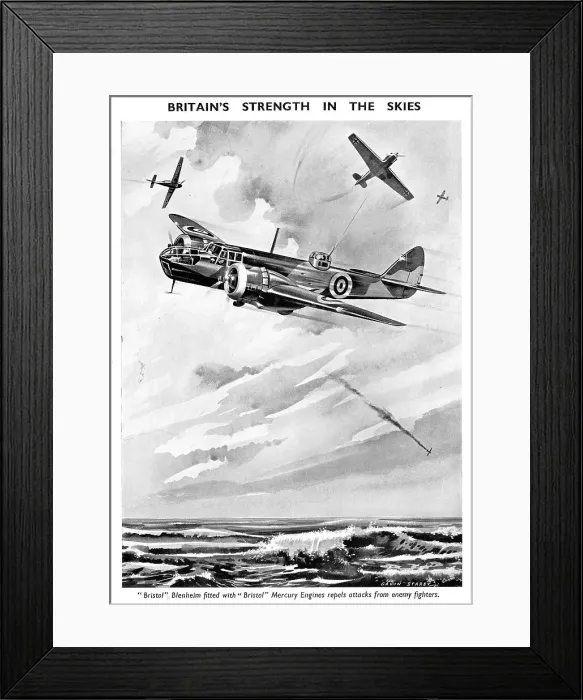 Framed Print : 13824741 Framed Print : 13824741