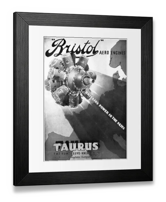 Framed Print : 13824800 Framed Print : 13824800