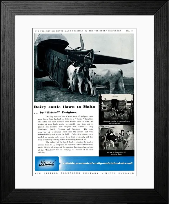 Framed Print : 13825078 Framed Print : 13825078
