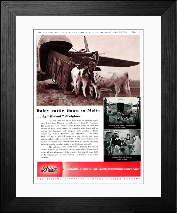 Framed Print : 13825081 Framed Print : 13825081