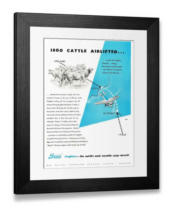 Framed Print : 13825152 Framed Print : 13825152
