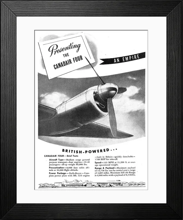 Framed Print : 13825512