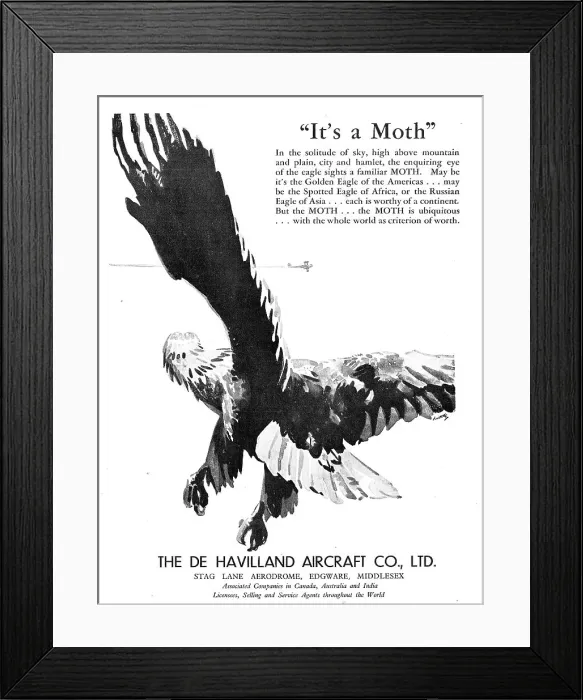 Framed Print : 13826560 Framed Print : 13826560