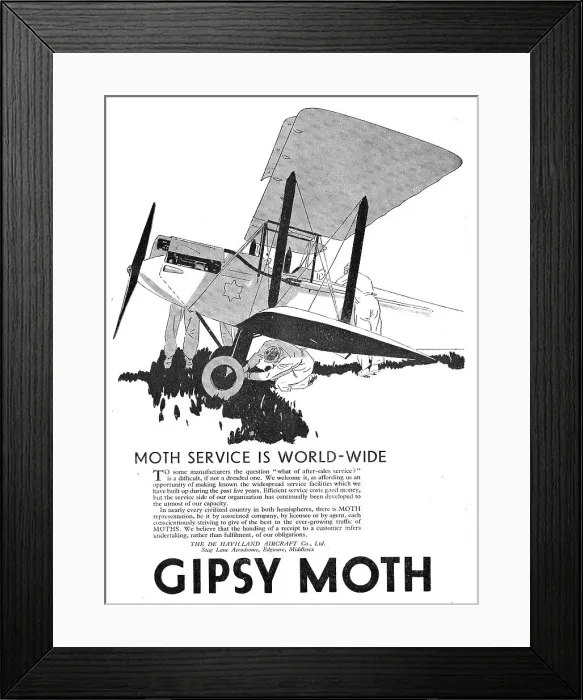 Framed Print : 13826576 Framed Print : 13826576
