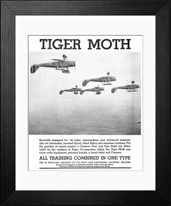Framed Print : 13826645 Framed Print : 13826645