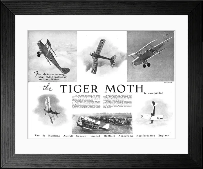 Framed Print : 13826775 Framed Print : 13826775
