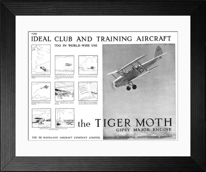 Framed Print : 13826784 Framed Print : 13826784