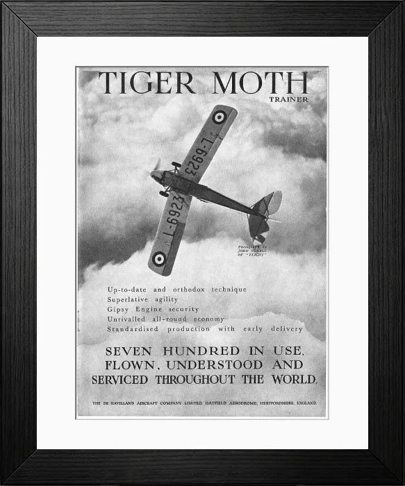 Framed Print : 13826786 Framed Print : 13826786