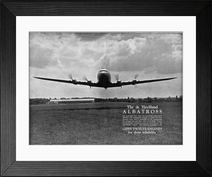 Framed Print : 13826795 Framed Print : 13826795