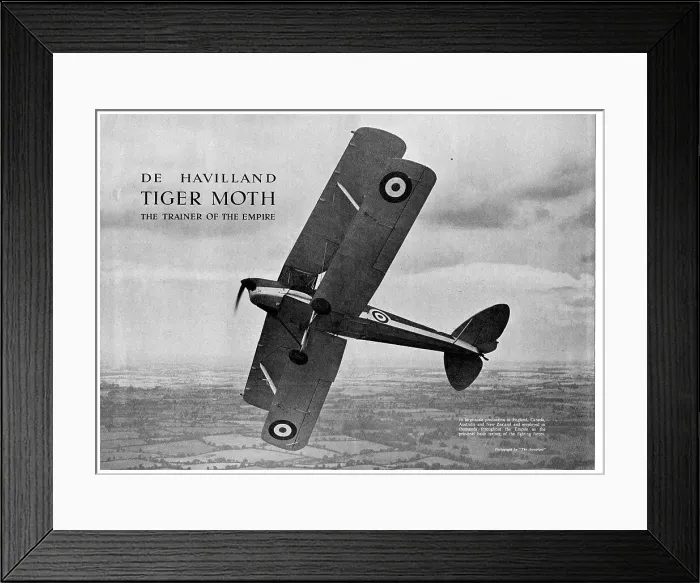Framed Print : 13826831 Framed Print : 13826831