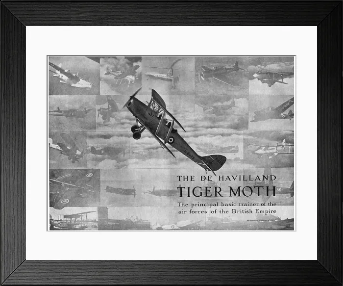 Framed Print : 13826832 Framed Print : 13826832