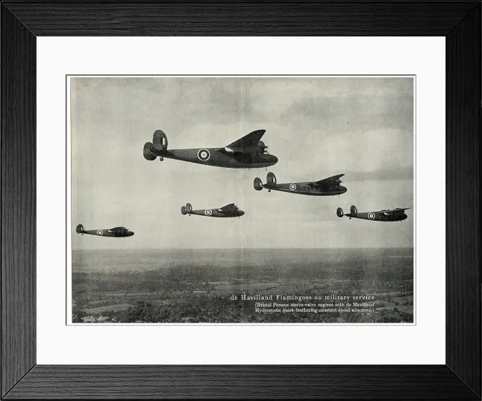 Framed Print : 13826849 Framed Print : 13826849