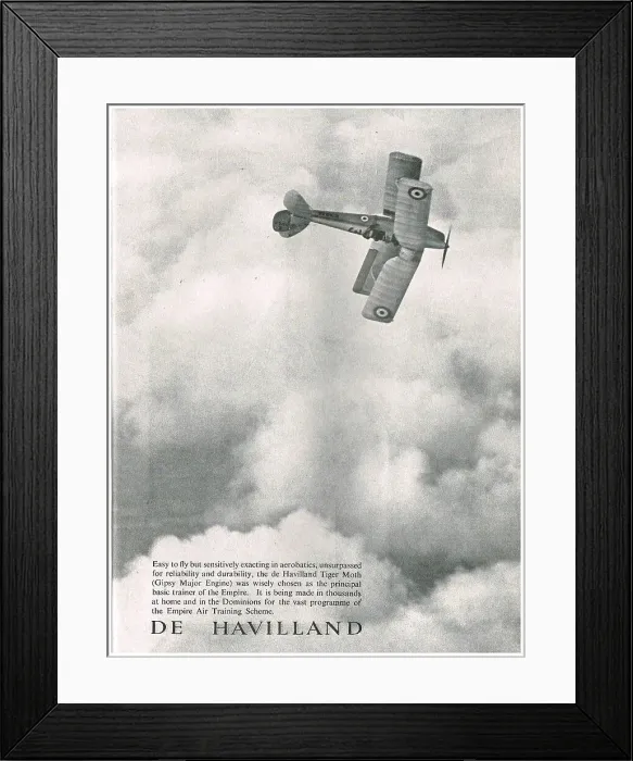 Framed Print : 13826856 Framed Print : 13826856